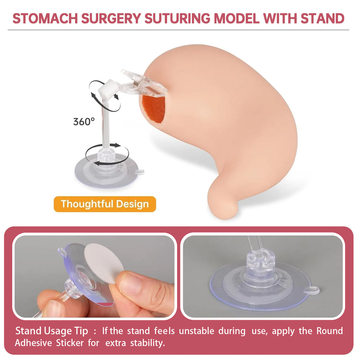 Gastric Suturing Trainer with Hollow Stomach Model