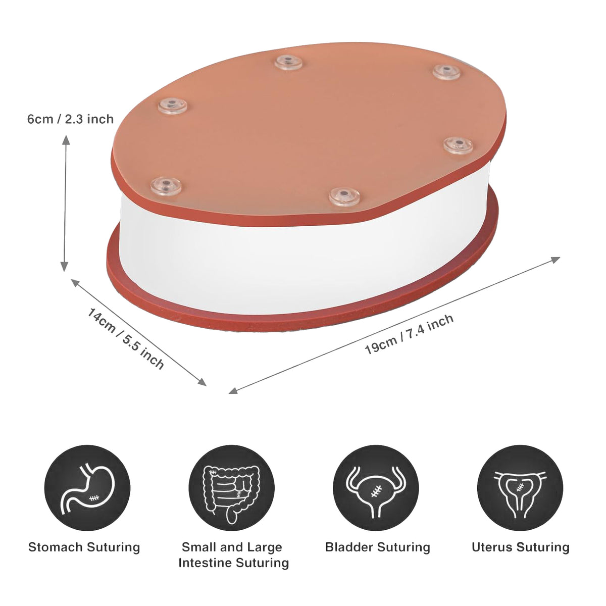 Hollow Organ Suturing Trainer Kit