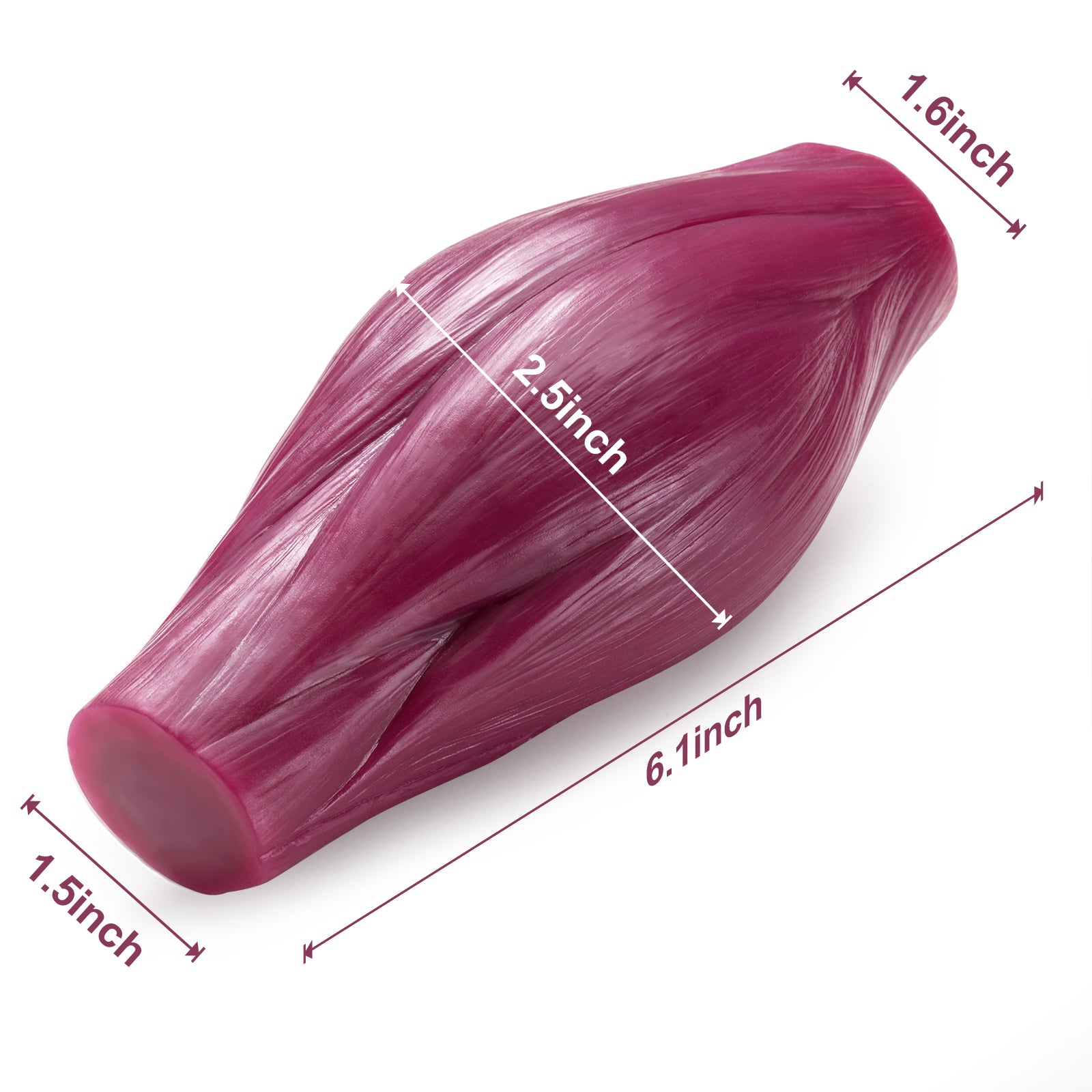 1lb Muscle Model Actual Size And Dimensions