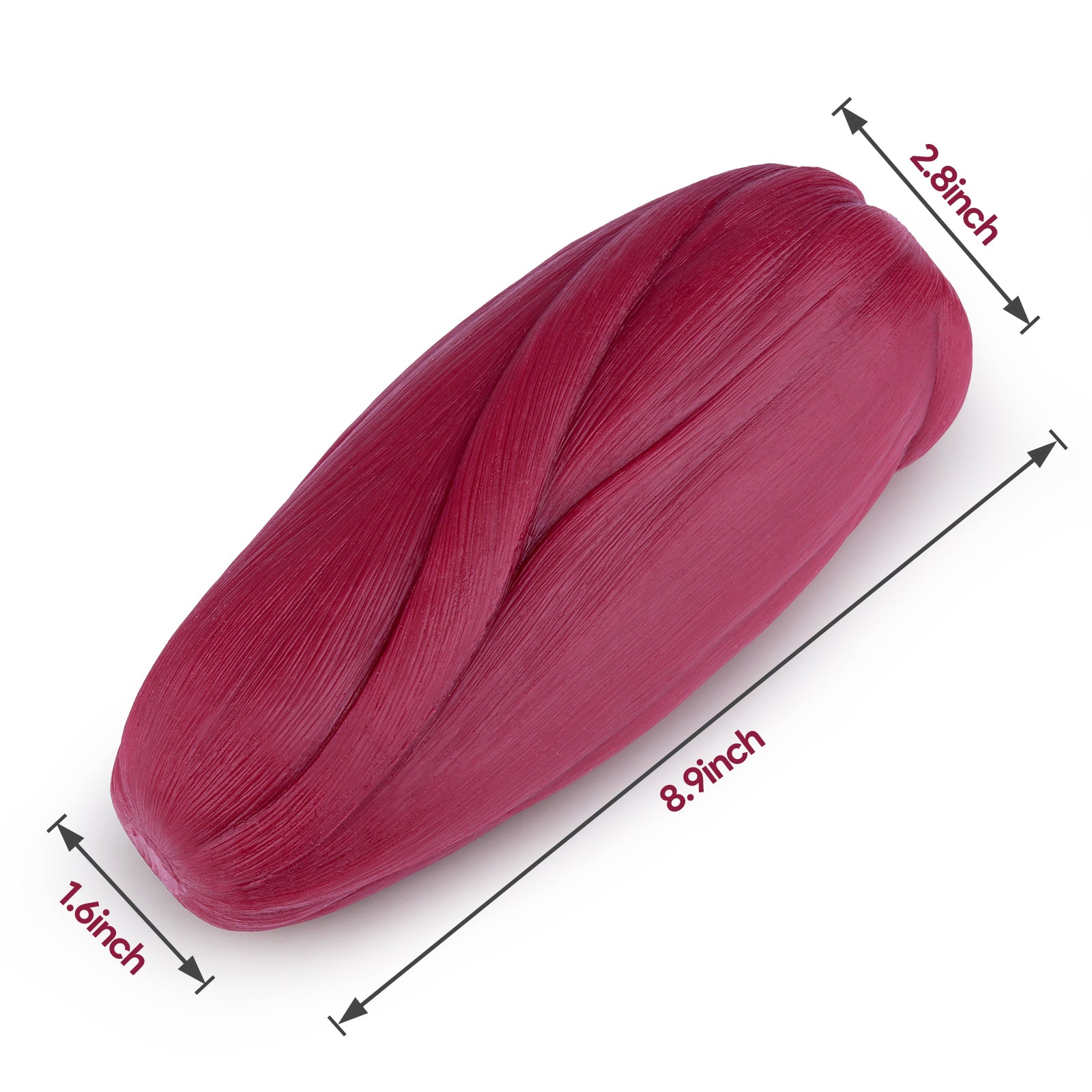 5LB Human Muscle Model Size Reference