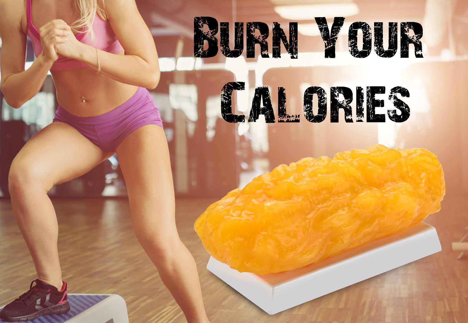 5 Pounds of Fat Model for Fitness Education