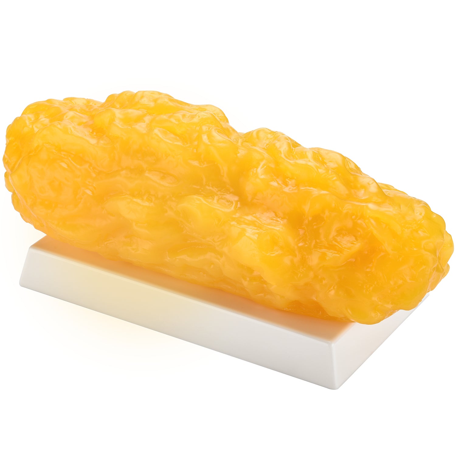 5 Pounds of Fat Model with Base