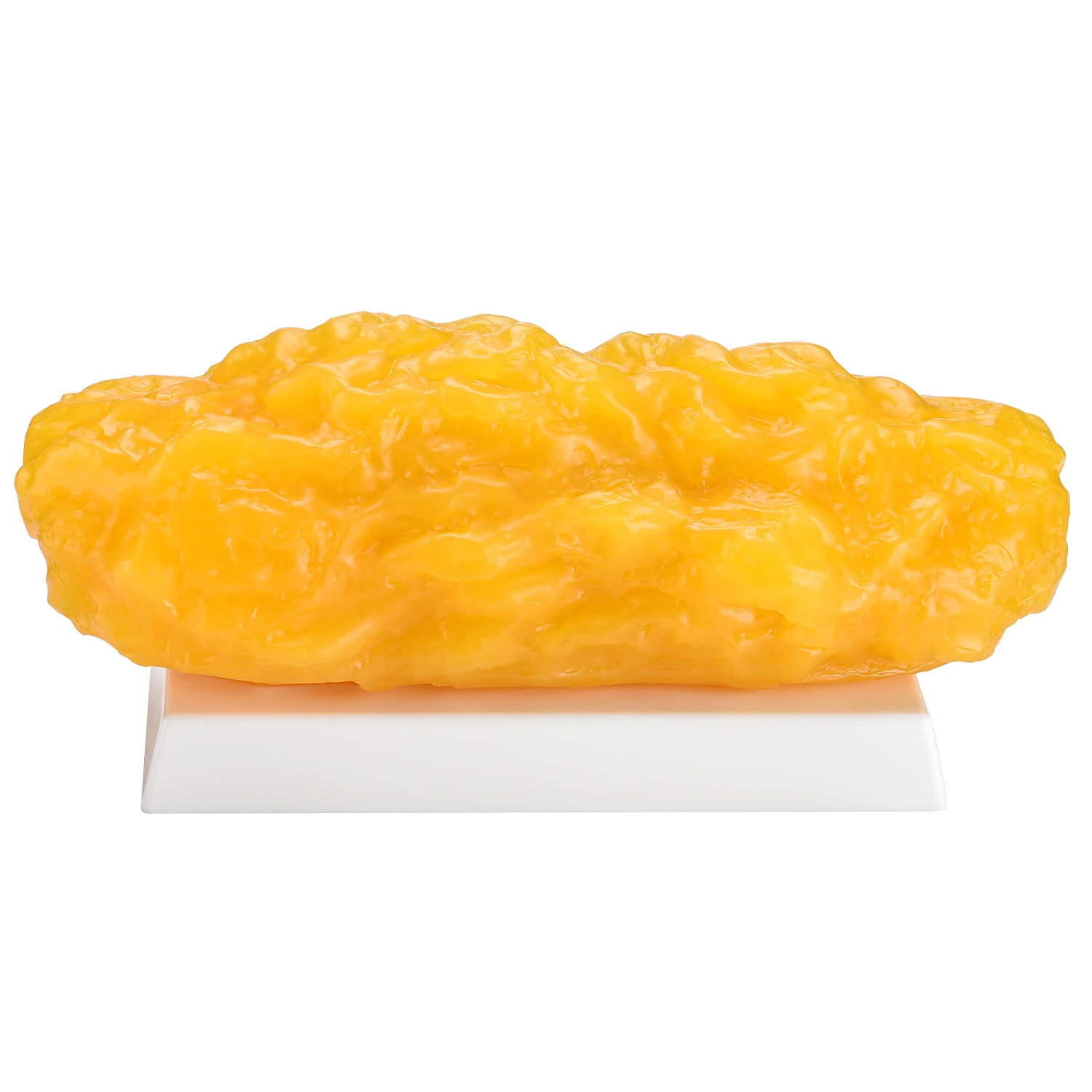 5 lb Human Body Fat Replica