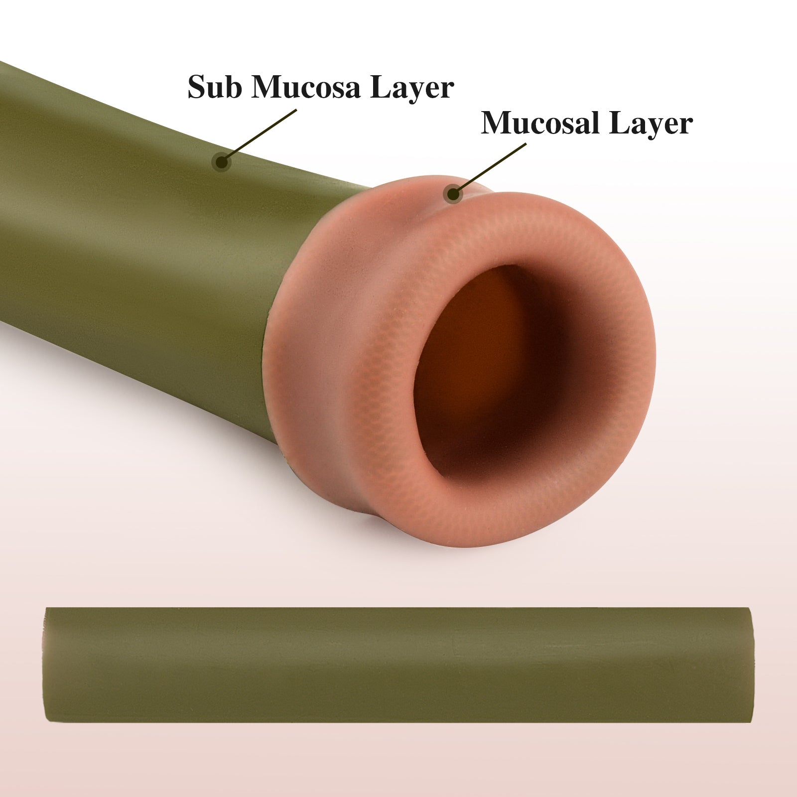 Bowel Simulator for Surgical Suture Training