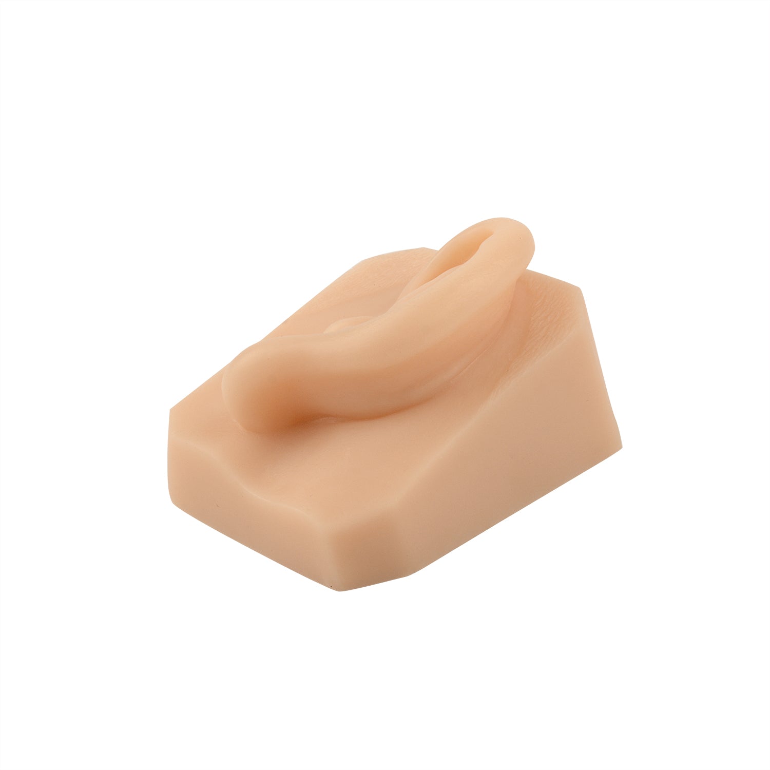 Ear Suturing Training Pad