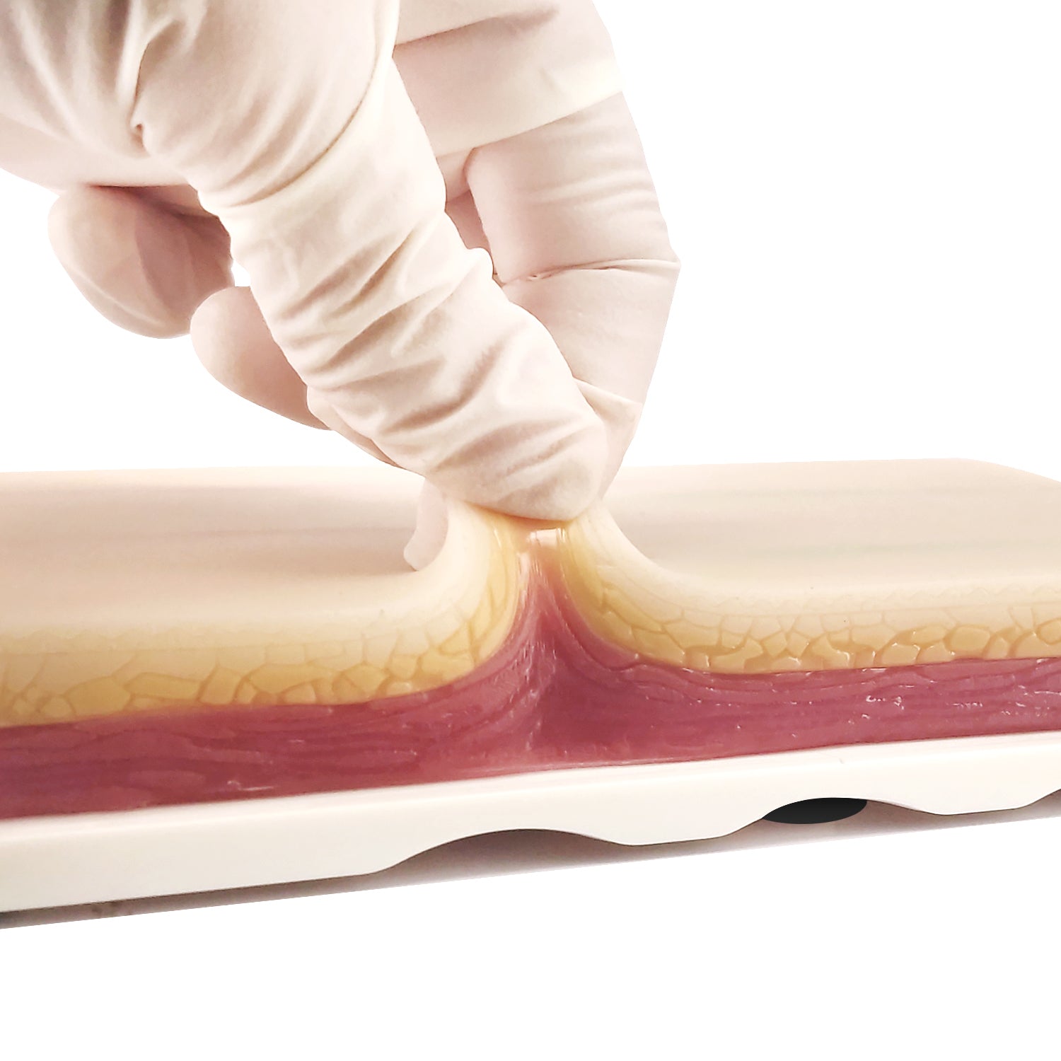 Venipuncture IV Injection Training Pad Model with 4 Veins Imbedded and 3 Skin Layers for Medical Students Doctors Nurses Practice - [shop_medarchitect]