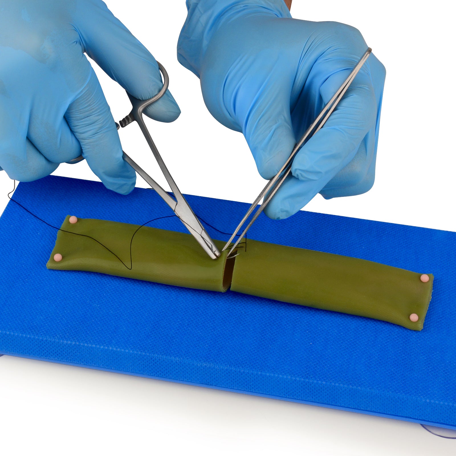 Intestine Suturing Trainer