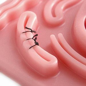 Silicone Laparoscopic Suture Simulation Pad with Pre-Cut Wounds for Suture Training to Medical Student Doctor Nurse Teaching - [shop_medarchitect]