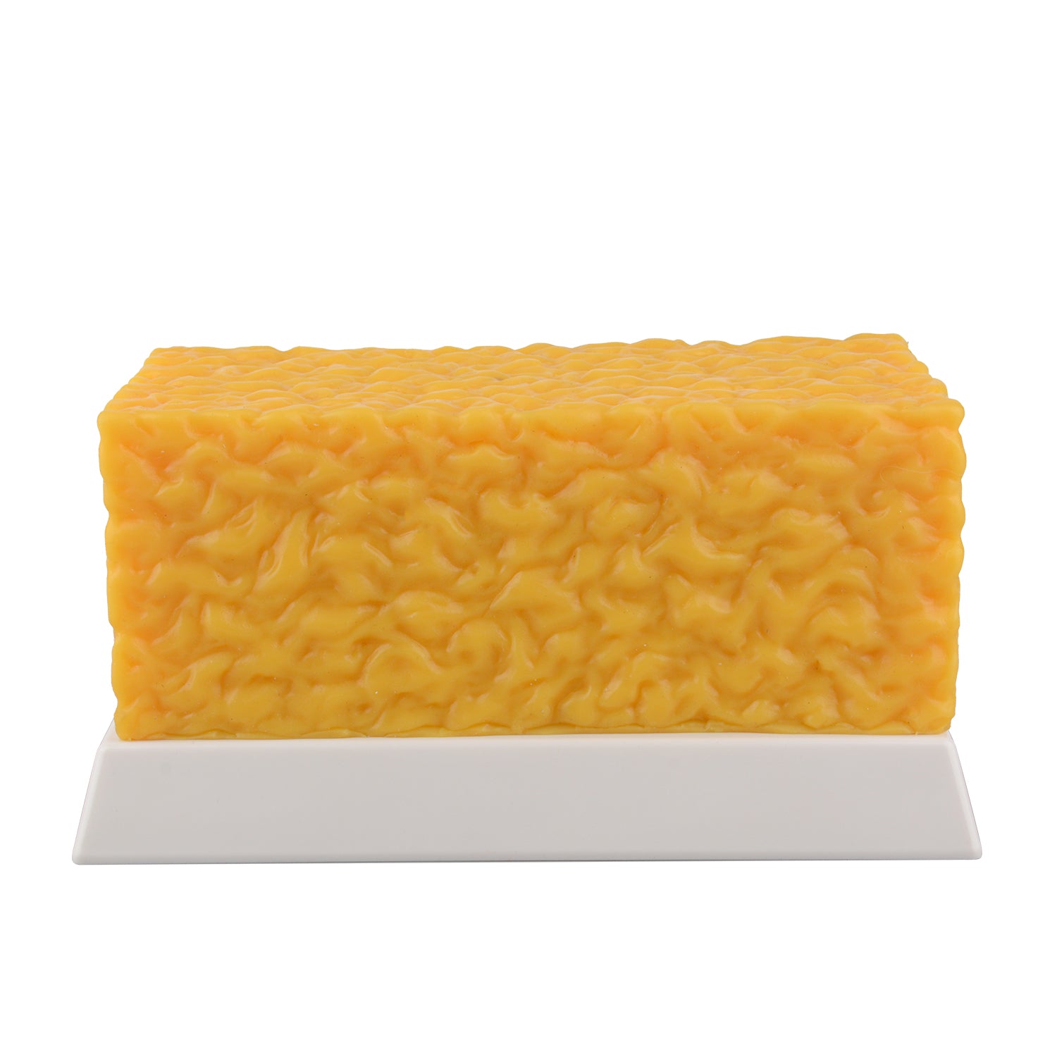 5lb Brick Fat Replica & 5lb Muscle Replica Set for Nutrition Courses Medical Science Classes Bodybuilding Boot Camps - [shop_medarchitect]