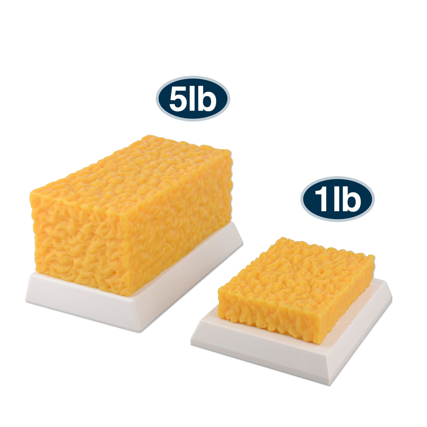 5lb Brick Fat Replica & 5lb Muscle Replica Set for Nutrition Courses Medical Science Classes Bodybuilding Boot Camps - [shop_medarchitect]