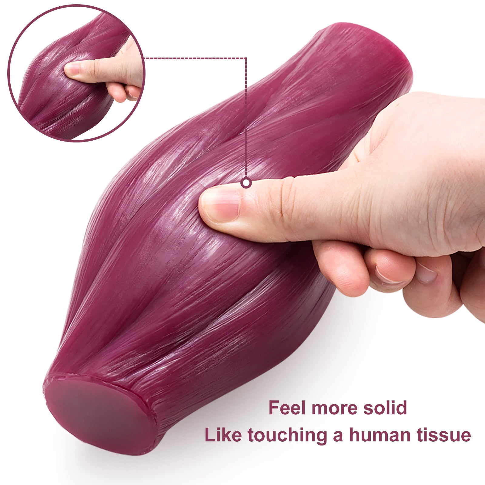 Realistic Muscle Texture Close Up Training Model