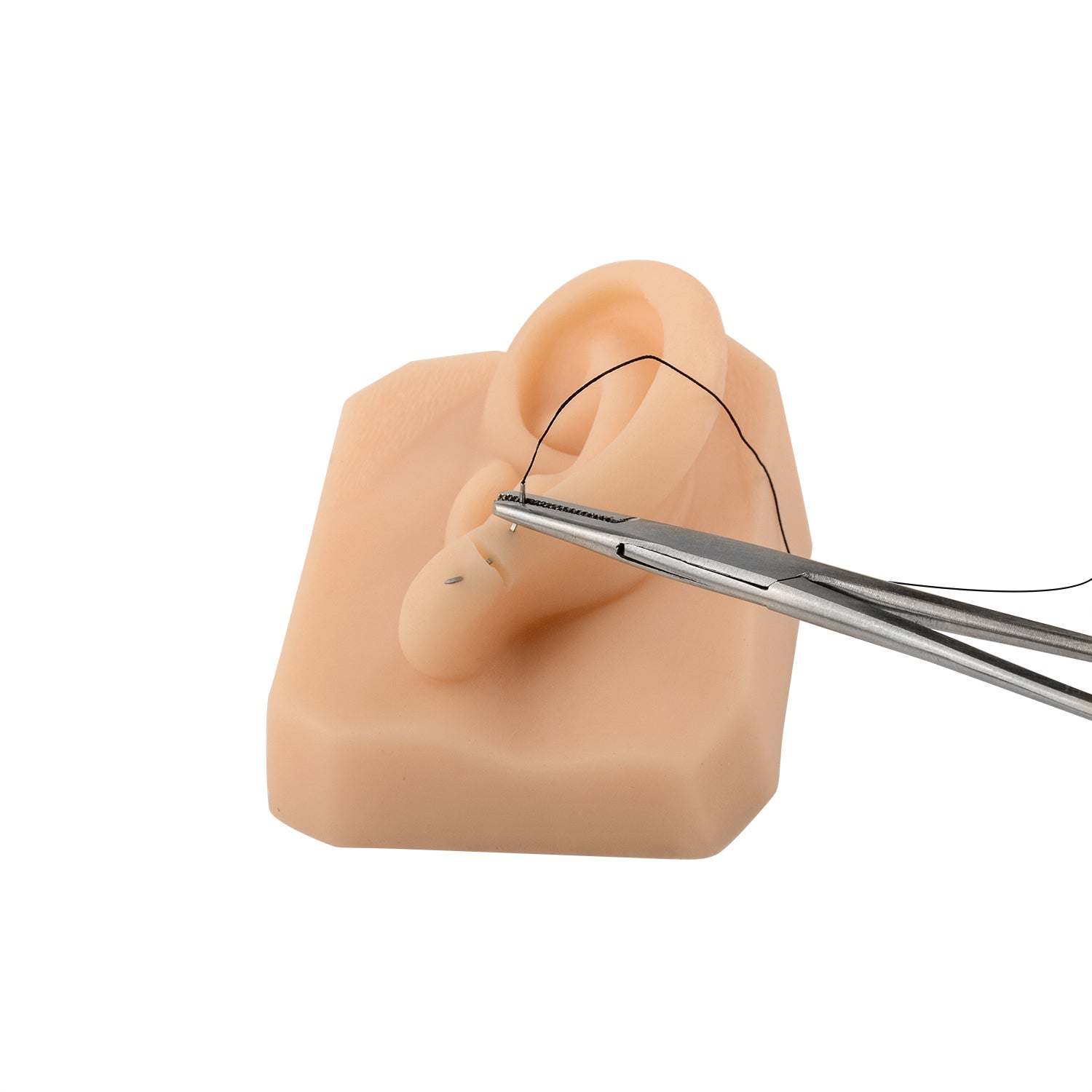 Silicone Ear Model for Suture Practice