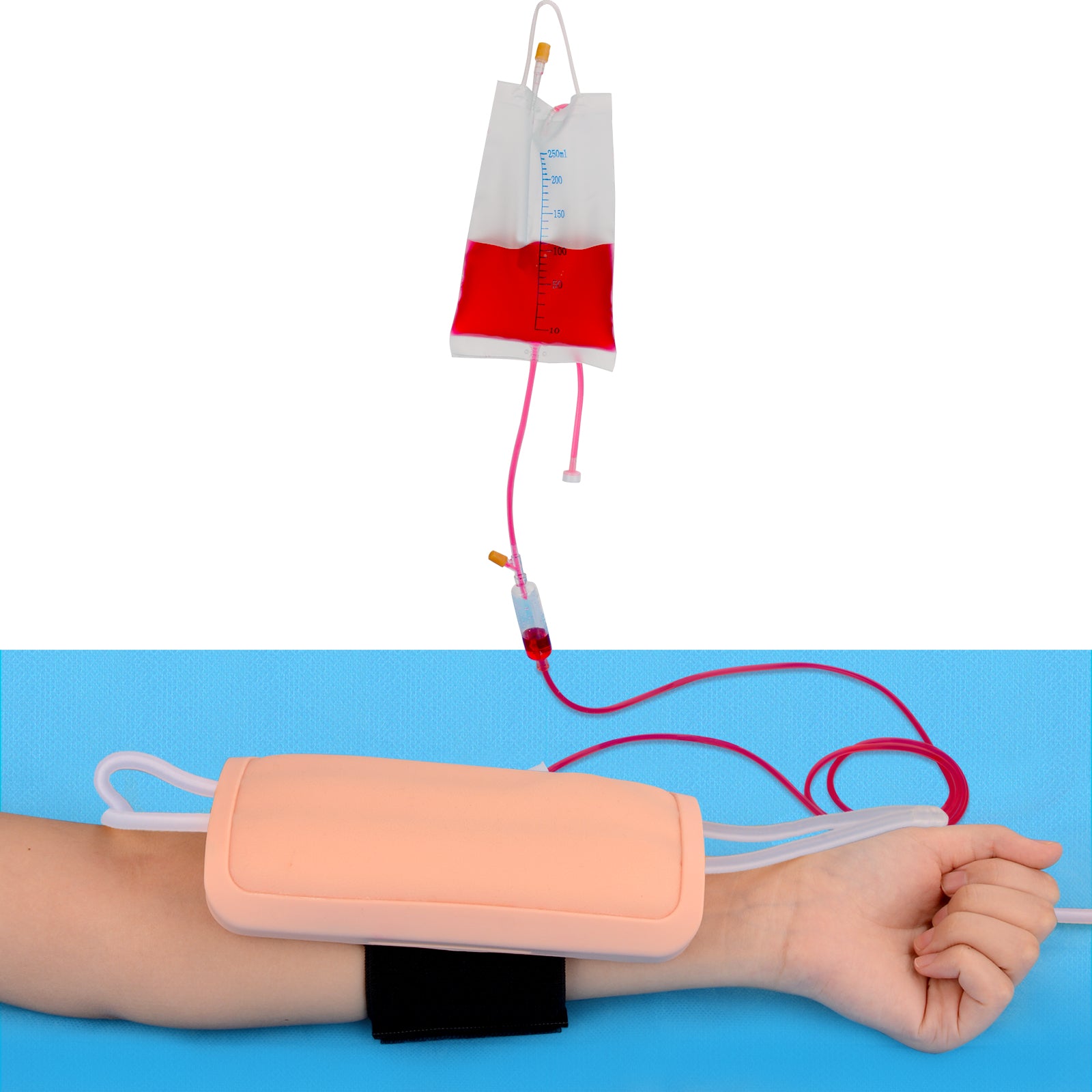 Silicone IV Cannulation Training Model With Blood Flow