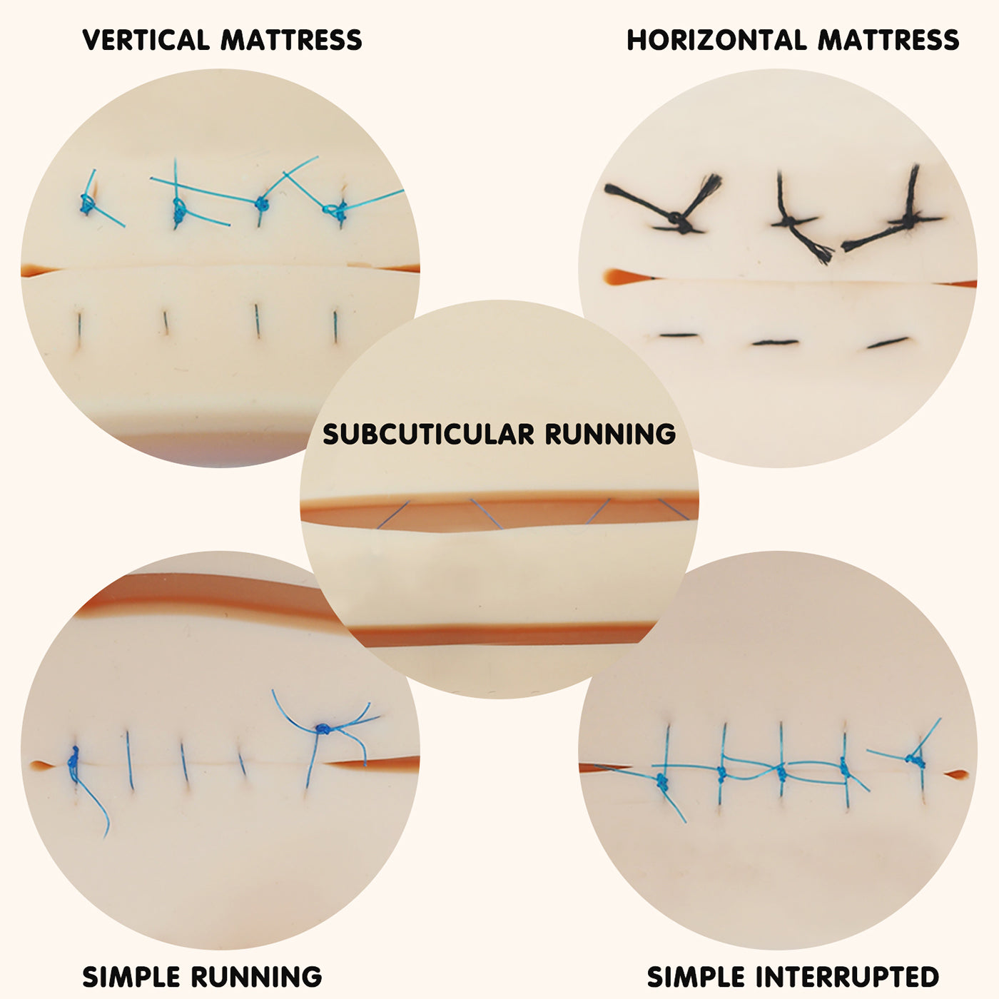 Suture Practice Kit For Multiple Clinical Suturing Techniques Practice