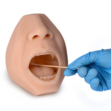 Load image into Gallery viewer, Medical Nasopharyngeal &amp; Oropharyngeal Swab Test Collection Training Model for COVID-19 Doctor-Patient Communication - [shop_medarchitect]