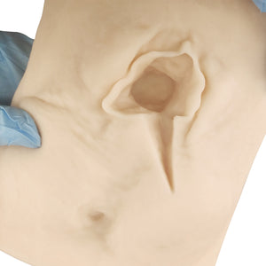 suture-vulva-model