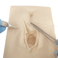 vulva-incision-model