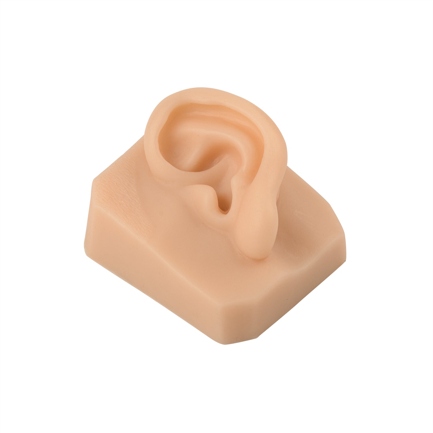 Medarchitect Silicone Ear Replica for Suture Practice, Tattoo Practice, Ear Simulated Models for Earring or Jewelry Display - [shop_medarchitect]