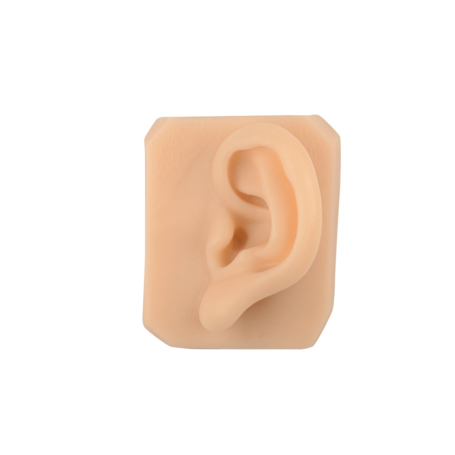 Medarchitect Silicone Ear Replica for Suture Practice, Tattoo Practice, Ear Simulated Models for Earring or Jewelry Display - [shop_medarchitect]
