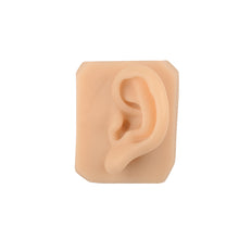 Load image into Gallery viewer, Medarchitect Silicone Ear Replica for Suture Practice, Tattoo Practice, Ear Simulated Models for Earring or Jewelry Display