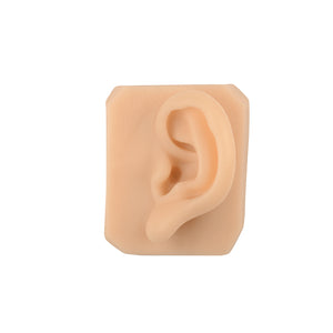Medarchitect Silicone Ear Replica for Suture Practice, Tattoo Practice, Ear Simulated Models for Earring or Jewelry Display