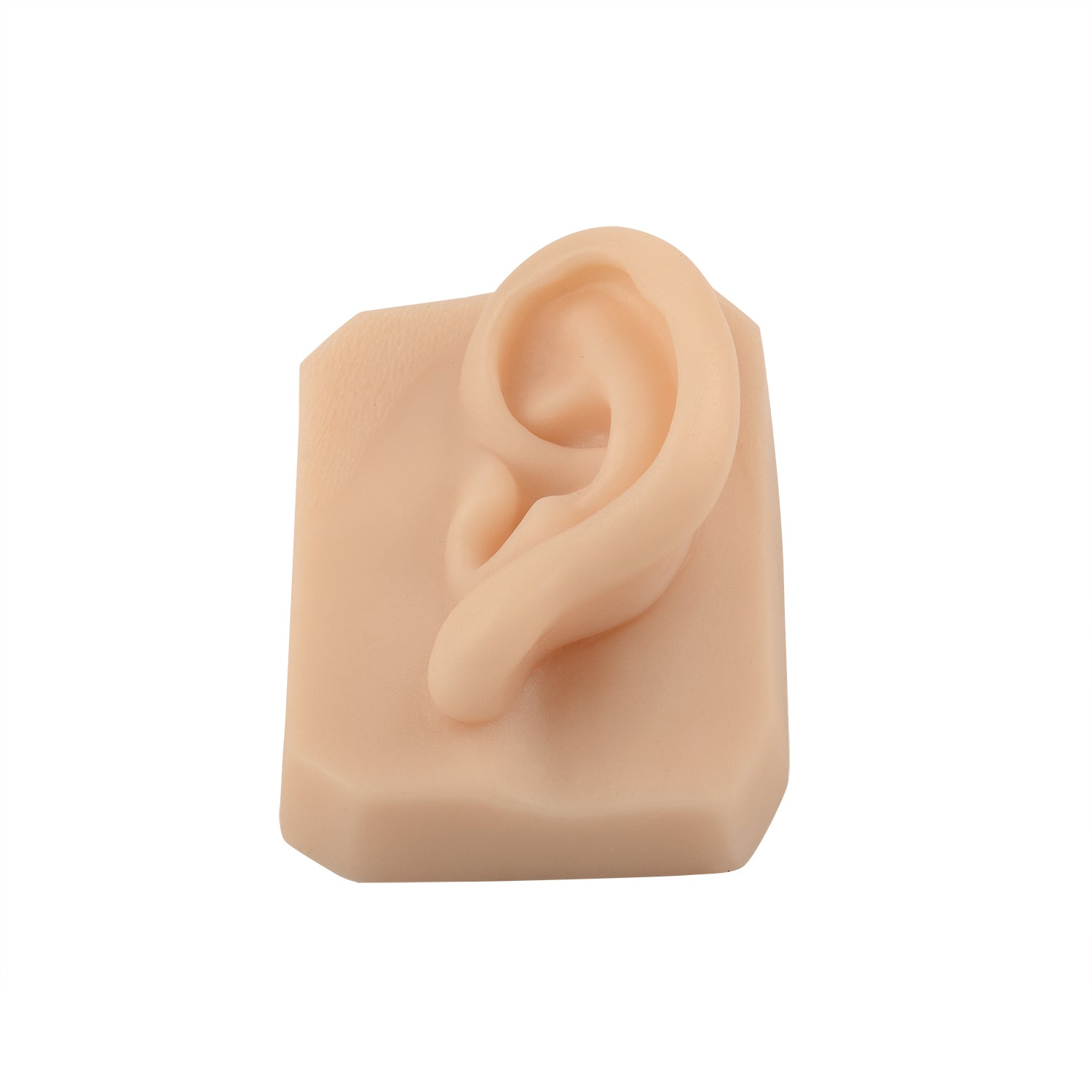 Medarchitect Silicone Ear Replica for Suture Practice, Tattoo Practice, Ear Simulated Models for Earring or Jewelry Display - [shop_medarchitect]