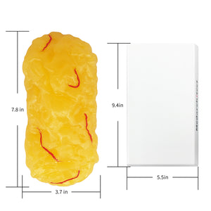 Medarchitect 1 lb Fat Replica Weight Loss Motivation & Reminder for Nutritionist, Science Course for Medical Student