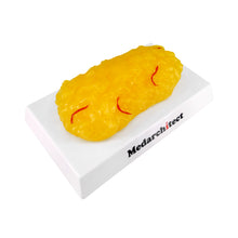 Load image into Gallery viewer, Medarchitect 1 lb Fat Replica Weight Loss Motivation &amp; Reminder for Nutritionist, Science Course for Medical Student