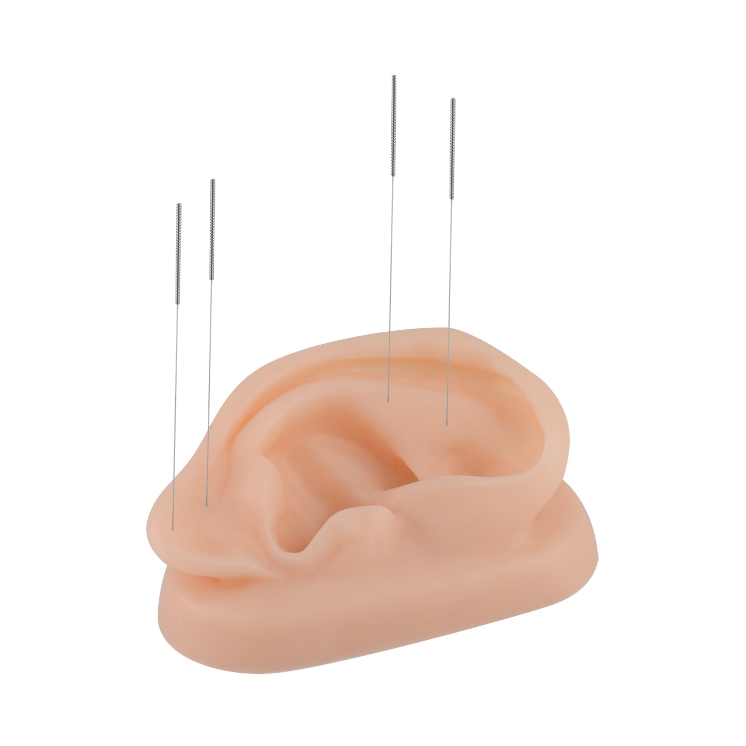 Silicone Acupuncture Ear Model for Teaching & Training - [shop_medarchitect]