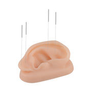 Silicone Acupuncture Ear Model for Teaching & Training - [shop_medarchitect]